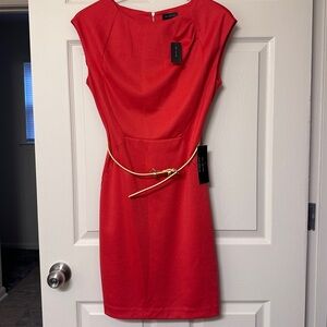 Mid-length Pink Dress (Small)